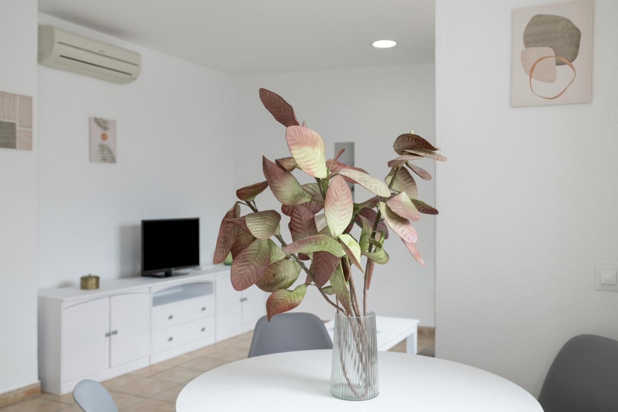 Apartamento Perez Zara 4 Conil De La Frontera Exterior foto